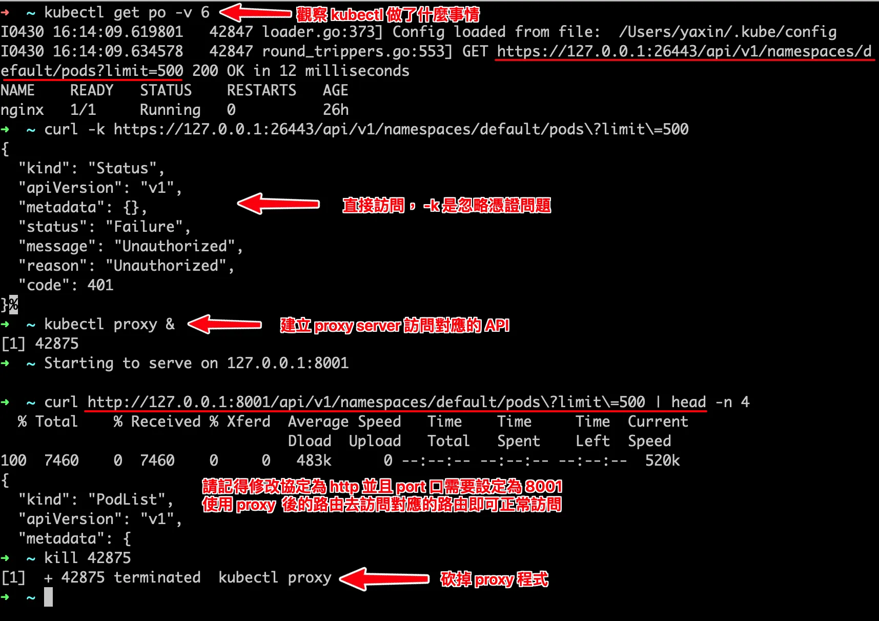 kube-verbose-with-proxy